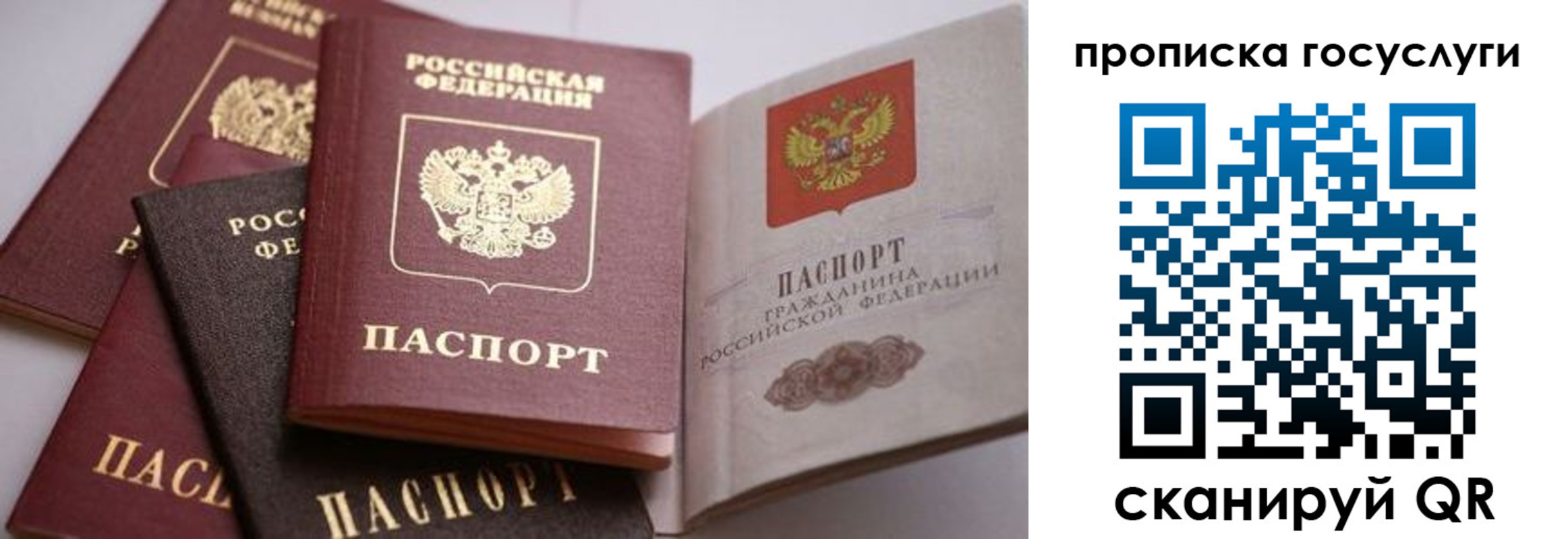 прописка иностранных граждан в Камызяке